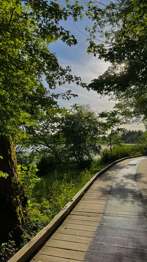 Nature walk aesthetic Nature Walk Aesthetic, Bold Brows Makeup, Walk Aesthetic, Vision Board Diy, Life Goals Future, Vision Board Goals, Vision Board Pictures, Life Vision Board, Nature Walk