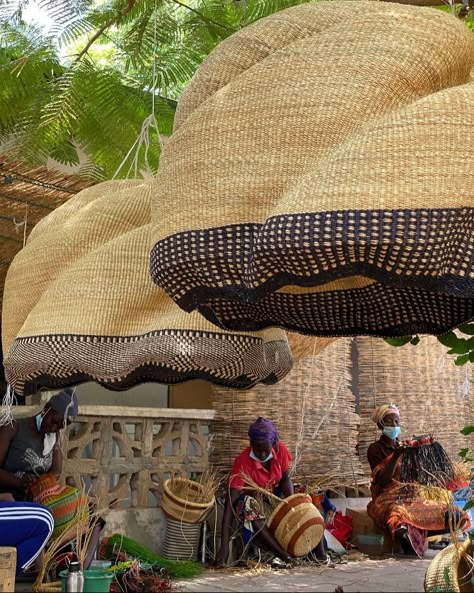 The Baba Tree Basket Company on Instagram: “MMMORNING MEETING • To discuss our most recently finished #petlampmeetsthebabatree collaborative lampshades as seen. Hung from the trees…” African Trees, Tree Basket, Grass Roof, African Tree, African Interior Design, African Interior, Artisan Furniture, Basket Lighting, Interior Design Rustic