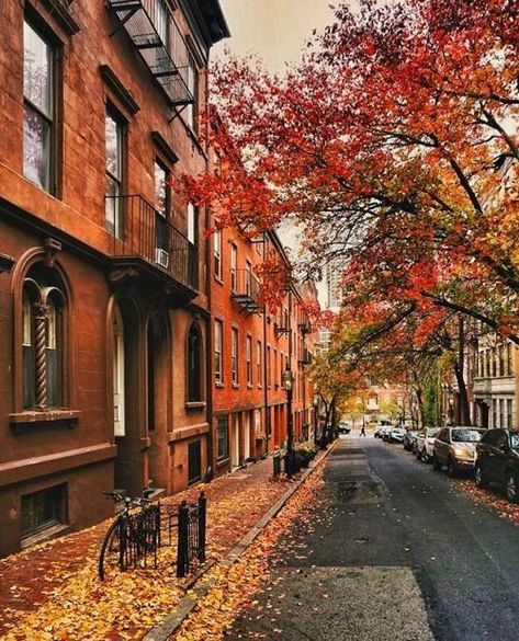 Autumn in Boston City photography Studera Motivation, Living Modern, Beacon Hill, Autumn Scenery, Fall Feels, Fall Pictures, Fall Aesthetic, Autumn Cozy, Autumn Aesthetic