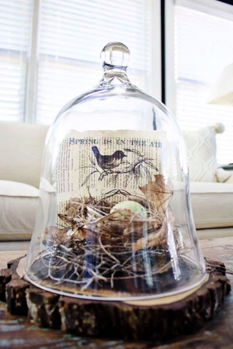 Glass Cloche Decor, Diy – Velikonoce, Bird Nest Craft, Cloche Decor, Farmhouse Easter Decor, Spring Books, Book Page Art, Glass Cloche, The Bell Jar