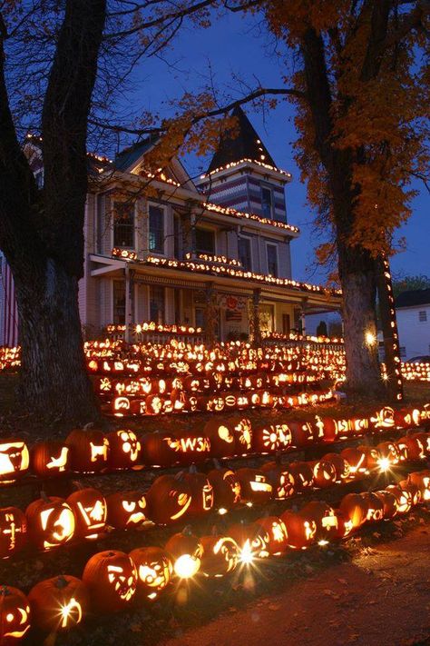 The Pumpkin House and the decorations are only part of the festivities found at AutumnFest. Casa Halloween, Halloween Fest, Pumpkin House, Fall Things, Halloween Tattoo, Halloween Outdoor, Have Inspiration, Outdoor Decorations, Halloween Inspiration