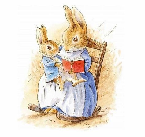 Kay on Instagram: “Good morning 😉 Yay it’s the weekend 🙌🏻 What better way to spend it with cuddles and stories ☺️ It’s a rainy start here so I think Peter…” Peter Rabbit Illustration, Beatrix Potter Illustrations, Beatrice Potter, Peter Rabbit Nursery, Peter Rabbit And Friends, Rabbit Nursery, Football Wall Art, Benjamin Bunny, Rabbit Illustration