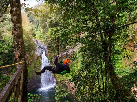 Top Travel Experiences for Thrillseekers Ranked by Viator Reviews - Thrillist Drinking Activities, Drive Across America, Forest Images, Free Rain, Zipline Adventure, Thrill Seeking, Travel Tools, World News Today, Forest Pictures