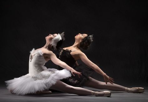 Erin Alarcon (Odette, the white swan) and Vivi DiMarco (Odile, the black swan) dance the leads in American Midwest Ballet’s Swan Lake. Black Swan Ending, Black Swan Dance, Astronaut Artwork, Black Swan Movie, American Midwest, Swan Lake Ballet, Ballet Beauty, White Tutu, Dance Movement