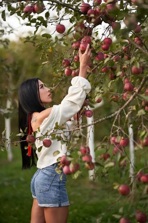 Orchard Photoshoot Ideas, Apple Orchard Photoshoot, Apple Picking Pictures, Orchard Photoshoot, Apple Picking Photos, Apple Farm, Fruit Picking, Apple Orchard, Apple Picking