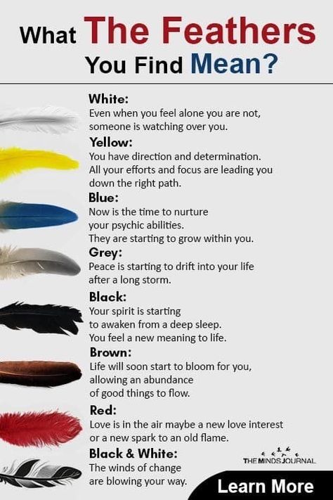 Black And White Feather Meaning, White Feather Meaning, Finding Feathers, Feather Tattoo Meaning, Indian Feather Tattoos, Feather Meaning, Crystal Healing Chart, Indian Feathers, Feather Tattoo