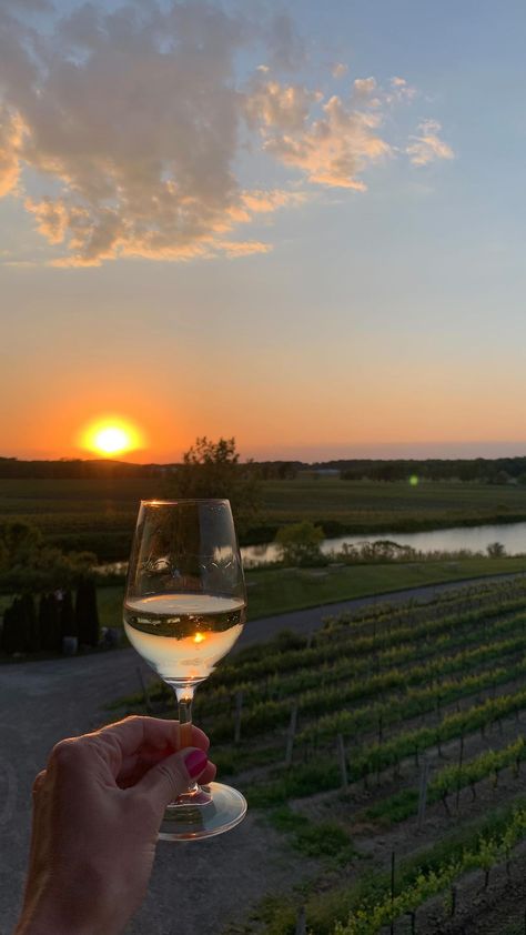 Vineyard Sunset, Vineyard Wedding Venue, Pisco, Vineyard Wedding, Vineyard Vines, Ontario, Vines, Wedding Venues, Wine