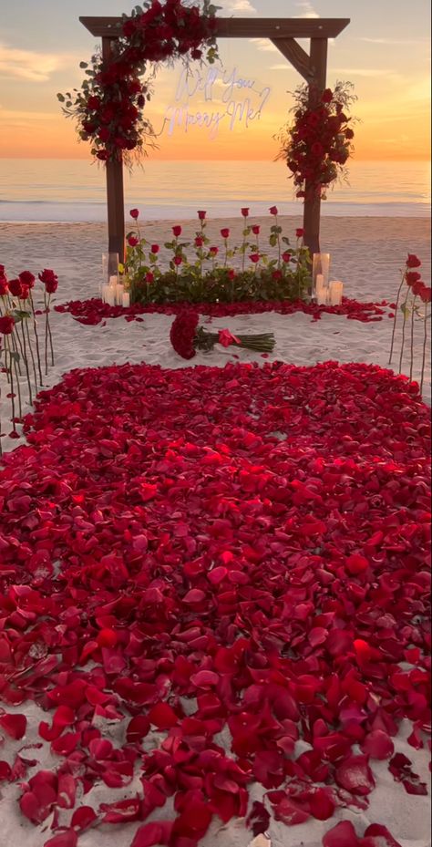 The perfect proposal at sunset in the beach with rose peadels and a beautiful sign Proposal Ideas Beach, Wedding Proposal Ideas Engagement, Luxury Proposal, Surprise Proposal Pictures, Cute Proposal Ideas, Proposal Pictures, Romantic Date Night Ideas, Proposal Planning, Beach Proposal