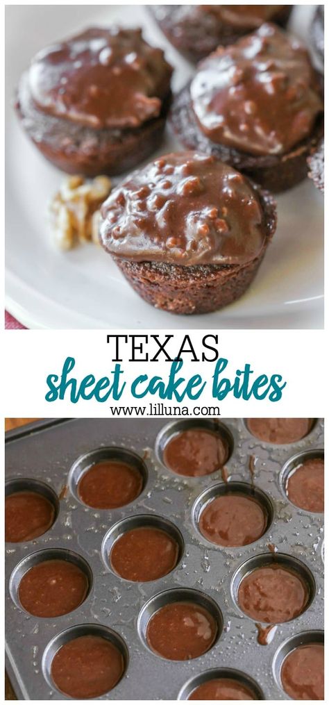 Sheet Cake Bites, Texas Sheet, Texas Sheet Cake, Chocolate Sheet Cake, Bite Size Desserts, Sheet Cake Recipes, Cake Bites, Homemade Cake Recipes, Coconut Recipes