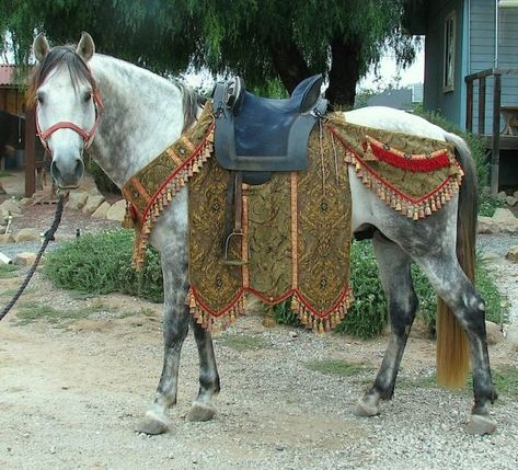 Horse Barding - Click Image to Close Mounted Archery, Medieval Horse, Horse Costumes, Horse Dress, Horse Armor, Fantasy Horses, Types Of Horses, Horse Equipment, Horse Gear