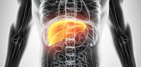 TCM: Understanding The Role Of The Liver Digestion Process, Coffee Health Benefits, Coffee Benefits, Excessive Sweating, Tea Benefits, Weight Control, Managing Emotions, Health Coach, Herbal Remedies