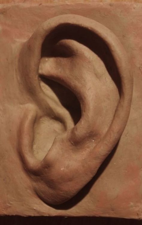 Ear Pottery, Clay Faces Sculpture, Clay Tongue, Ceramic Face Sculpture, Clay Face Sculpture, Ear Sculpture, Clay Nose, Ceramic Sculpture Figurative, Anatomy Sculpture