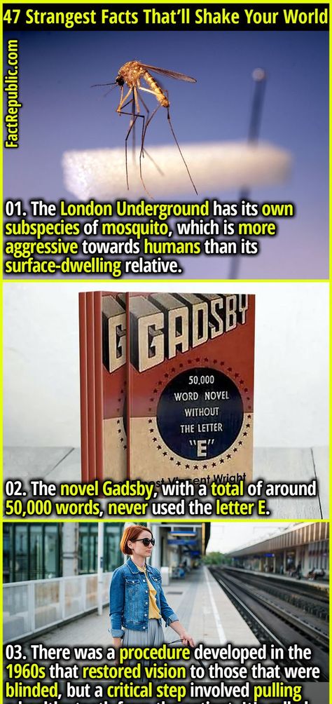 There is a series of organic molecules called NanoPutians whose structural formulae resemble human form. Cessna Aircraft, Science Knowledge, Fact Republic, Nature Science, Guinness Book, London Underground, Guy Names, The London, Guinness