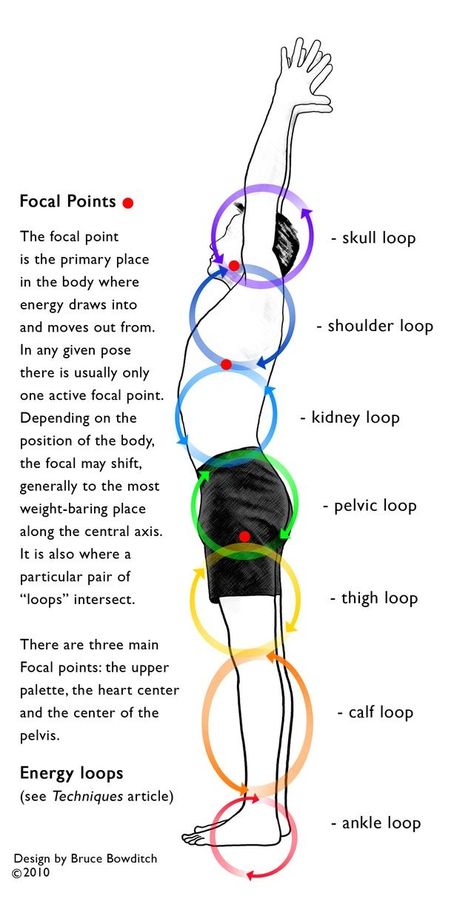 Infinite Lila: Focal Points & Energy Loops Anusara Yoga, Hata Yoga, Alexander Technique, Ashtanga Vinyasa Yoga, Yoga Teaching, Pranic Healing, Yoga Anatomy, Yoga Iyengar, Energy Healing Reiki