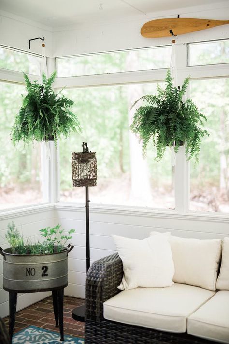 Plants Screened In Porch, Hanging Plants Screened In Porch, Screened In Porch Half Wall, Half Wall Screened In Porch, Screen Porch Plants, Metal Sunroom Makeover, Screened Porch Plants, Screened In Porch Plant Ideas, Inside Porch Ideas