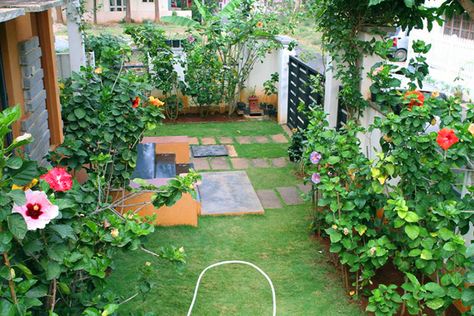 Hidden Valley Hibiscus Worldwide ~ Hibiscus Garden in Bangalore, India Indian Home Garden Design, Garden Ideas India, Hibiscus Garden, Indian Garden, Garden Nook, Indian Flowers, Easy Backyard, Home Garden Plants, Garden Makeover