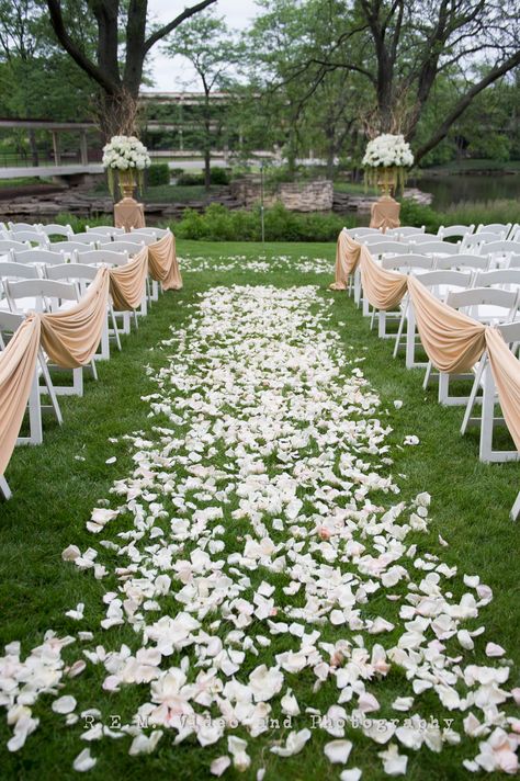 This was a gorgeous outdoor ceremony! A fabric lined aisle complete with scattered rose petals! Rose Petal Aisle Wedding Outdoor, Petal Isle Wedding, Flower Petals Down Aisle, Petal Lined Wedding Aisle, Rose Petal Walkway, Petal Aisle Runner, Outdoor Ceremony Aisle, Petals Aisle, Wedding Aisle Decorations Outdoor