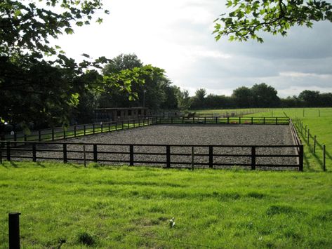 Horse Arena Size, Outdoor Arena Horses Diy, Diy Arena Horses, Outdoor Riding Arena Ideas, Diy Riding Arena, Horse Arena Ideas Outdoor, Horse Training Facility, Horses At Home, Horse Property Ideas