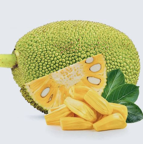 #jackfruit #srilanka #expomarker Jackfruit Seeds, Expo Marker, Colorful Borders Design, Organic Fruits And Vegetables, Grated Coconut, Organic Fruit, Green Chilies, Tropical Fruit, Fresh Green