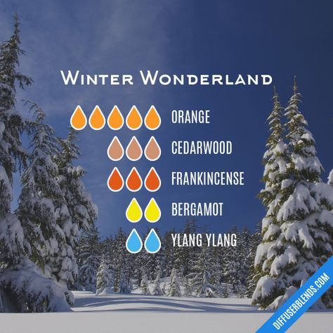 Winter Wonderland - Essential Oil Diffuser Blend Essential Oil Diffuser Blends Recipes, Baby Its Cold, Essential Oil Diffuser Recipes, Oil Diffuser Recipes, Essential Oil Mixes, Its Cold, Aromatherapy Blends, Diffuser Blend, Diffuser Recipes