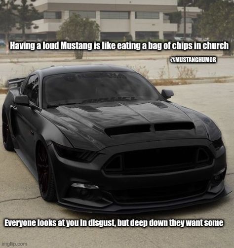 Mustang Humor, V8 Cars, Good Quotes For Instagram, Deep Down, My Horse, Quotes For Instagram, Good Quotes, Dream Car, Funny Pics