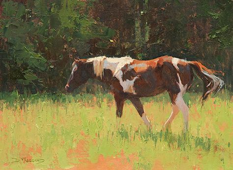 Brown And White Horse, Equine Artwork, Horse Oil Painting, Painting Competition, Horse Artwork, Horse Portrait, Cowboy Art, Horse Drawings, Southwest Art