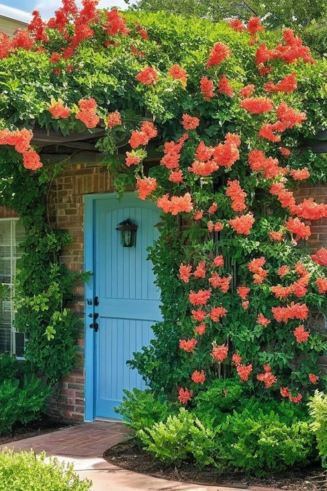 Texas Backyard Ideas, Jasmine Images, Texas Gardens, Texas Backyard, Texas Landscaping, Garden Railings, Texas Garden, Texas Weather, Black Thumb