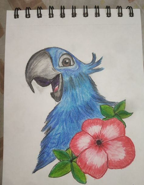 Drawing Ideas Creative Colorful, Rio Drawing, Blue Rio, Disney Canvas Paintings, Parrot Drawing, Art Markers Drawing, Cartoon Drawings Sketches, Easy Disney Drawings, Pencil Drawing Images