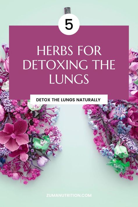 What are the Top 5 Herbs for Lung Health? While using natural herbs to detox the lungs is an excellent way to support respiratory health, it is still important to care for your lungs in other ways if you truly want to be holistic in your approach to respiratory health. Herbs For Lung Health, Lung Detox, Lung Health, Medical Herbs, Respiratory Care, Lungs Health, Respiratory Health, Respiratory System, Healing Herbs