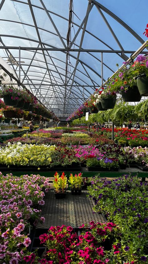 Horticulturist Aesthetic, Green House Planting, Greenhouse Proposal, Greenhouse Design, Flower Shop Decor, Patio Grande, Home Greenhouse, Hydroponic Plants, Garden Nursery