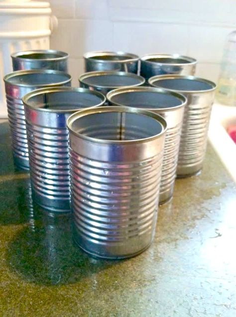 2 Tin Can Projects, Patriotic Lanterns, Can Projects, Can Lanterns, Tin Can Lanterns, Tin Crafts, Patriotic Projects, Rose Cuttings, Tin Can Art