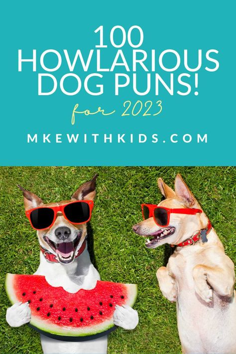 Summer Dog Quotes, Funny Dog Treat Sayings, Funny Dog Puns, Dog Puns Captions, Puns Clever, Funny Dog Captions, Funny Dog Sayings, Paw Quotes, Pet Puns