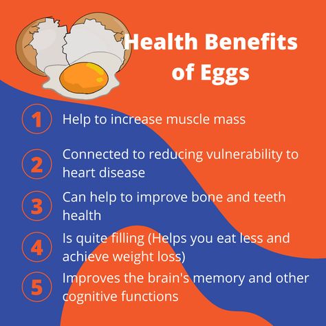 What can first, the chicken or the egg? More importantly, what can eating an egg do to you? Look no further as this infographic looks at the benefits of eating eggs. #eggs #food #infographic #benefits #organic #protein #muscle #brain Boiled Egg Benefits, Healthy Protein Drinks, Benefits Of Eggs, Benefits Of Eating Eggs, Health Benefits Of Eggs, Egg Benefits, Heart Diet, Yoga Information, Brain Memory