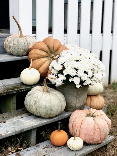 Pumpkins on the Front Porch Steps Porch Fall Decorating Ideas, Front Porch Design Ideas, Outside Fall Decor, Porch Design Ideas, Festa Harry Potter, Fall Front Porch Decor, Porch Steps, Diy Outdoor Decor, Fall Front Porch