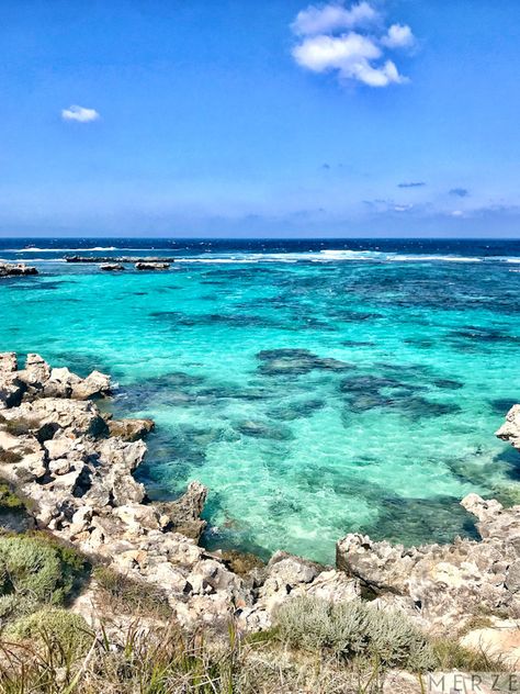 Beautiful aqua ocean found off the coast of Rottnest Island, Western Australia. #travel #travelphotography #australia #rottnestisland #travelaustralia #travelblog #followmytraveladventures #blog @merzelifestyle Good Coast Australia, Rottnest Island Australia, Rottnest Island Aesthetic, Australia Coast, Beaches Australia, Traveling Australia, Western Australia Travel, Australia Landscape, Rottnest Island