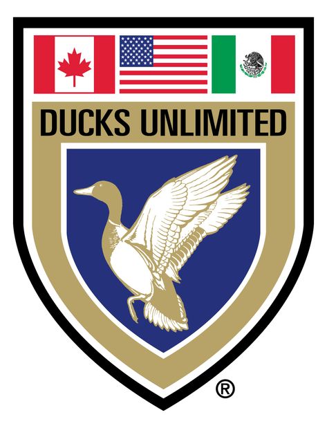 Ducks Unlimited Logo Donation Page, Waterfowl Hunting, Ducks Unlimited, International Scout, Game Birds, Gildan Hoodie, Membership Card, Duck Hunting, Outdoor Style