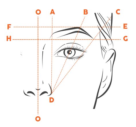 Eyebrow Mapping Guide, Eyebrow Practice Sheet Printable, Eyebrow Mapping Tutorial, Eyebrows Drawing, Eyebrow Mapping, Microblading Training, Brow Mapping, Eyebrow Shading, Lips Sketch