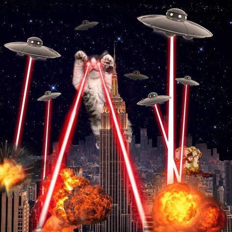 ❗️ #BREAKING NEWS - We're interrupting this broadcast to show you the latest picture of the recent giant leaser-eyed #kitten invasion in the heart of #Manhattan that occurred this morning in #NewYork ! 🙀 📸 Cat Attack New York City Ufo Explosions Lasers by Damian Augustyniak Cat Explosion, Flying Cat, Giant Cat, Geometric Bear, Cat Attack, Animal Wall Art Nursery, World Wallpaper, Nyan Cat, Animal Art Prints