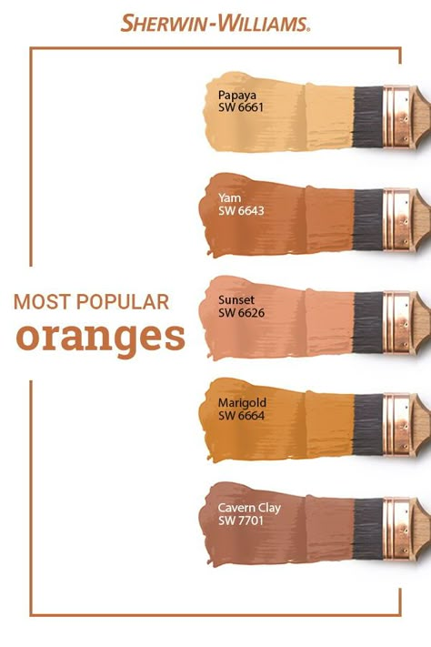 Sherbert Orange Paint Colors, Rustic Orange Wall Paint, Copper Orange Paint Color, Hushed Autumn Sherwin Williams, Raucous Orange Sherwin Williams, Deep Orange Paint Colors, Muted Orange Paint Color, Soft Burnt Orange Paint, Sherwin Williams Burnt Orange Colors