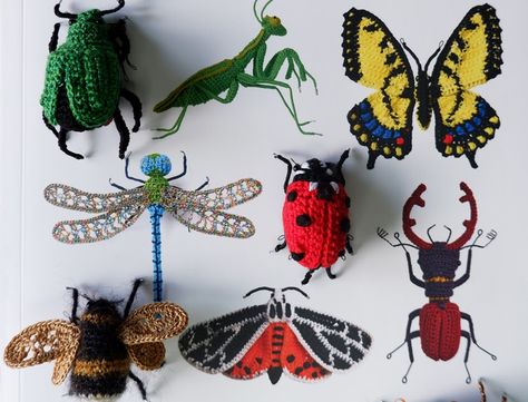 Crochet Bugs And Insects Free Pattern, Crochet Bugs And Insects, Crocheted Bugs, Crochet Insects, Crochet Insect, Realistic Amigurumi, Crochet Taxidermy, Bug Crochet, Crochet Butterfly Free Pattern