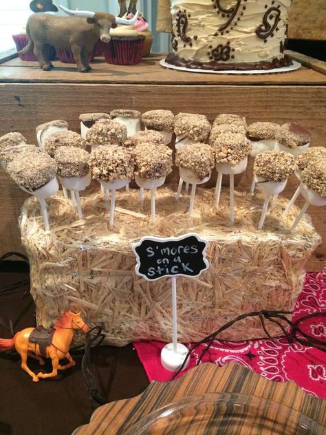 S'mores on a stick from a cowgirl birthday party! See more party planning ideas at CatchMyParty.com! Rodeo Birthday Parties, Cowboy Theme Party, Western Birthday Party, Farm Themed Birthday Party, Country Birthday, Horse Birthday Parties, Country Party, Cowboy Birthday Party, Western Birthday