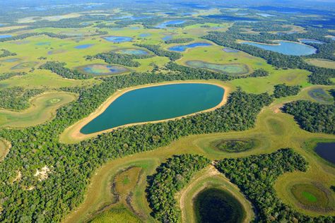 Pantanal - Toda Matéria Amazon Rainforest, Travel Locations, Summer Projects, High Fantasy, Photo Reference, Nice View, Golf Courses, Google Images, Brazil