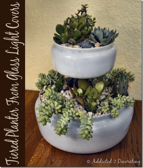 Two-Tiered Tabletop Planter From Outdated Glass Light Covers Globe Planter, Glass Light Covers, Recycled Lamp, Tabletop Planter, Garden Totem, Tiered Planter, Antique Light Fixtures, Old Lamps, Succulents Indoor