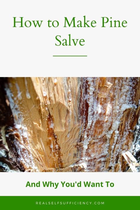 Pine Pitch Salve, Pine Salve, Draw Out Splinter, Pine Pitch, Diy Medicine, Herbal Medicine Recipes, Pine Oil, Salve Recipes, Herbal Salves