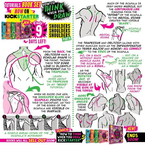 Etherington Brothers, How To Think, Book Maker, Figure Reference, Anatomy Study, Body Anatomy, Anatomy Drawing, Body Reference, Anatomy Reference