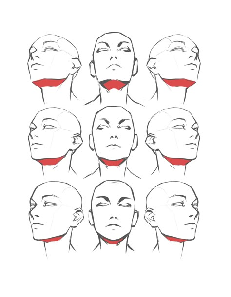 Head Posture Drawing, Head Leaned Back Drawing, Head Up Reference Drawing, Slightly Tilted Head Reference, Drawing Reference Head Angles, Drawing Heads Angles, Body Angles Drawing, Face Up Drawing, How To Draw The Head