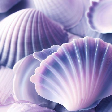 Purple Seashell Aesthetic, Mermaid Core Purple, Purple Sea Aesthetic, Purple Ocean Aesthetic, Purple Mermaid Aesthetic, Calypso Aesthetic, Sydney Aesthetic, Purple Pfps, Purple Seashell