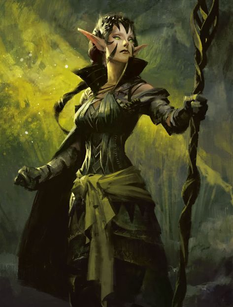 Jaime Jones, Illustration Fantasy, Mtg Art, Female Elf, Heroic Fantasy, Fantasy Races, High Fantasy, Fantasy Warrior, Arte Fantasy