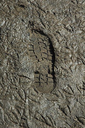 Mud Aesthetic, Brand Concept Board, Mud Texture, Mud Art, Foot Print, Graphic Poster Art, Boot Print, Shoe Print, Bird Prints