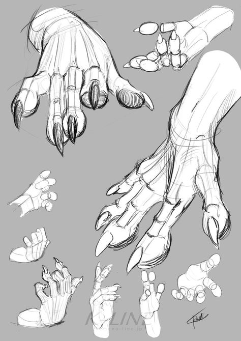 Human Hand Anatomy Drawing, Drawing Clawed Hands, Hand Wraps Drawing, How To Draw Fingernails, Claw Art Reference, How To Draw Talons, Dragon Hands Reference, Rock Drawing Reference, Dragon Claws Drawing Reference